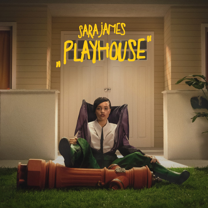 Artwork “PLAYHOUSE” (2024)