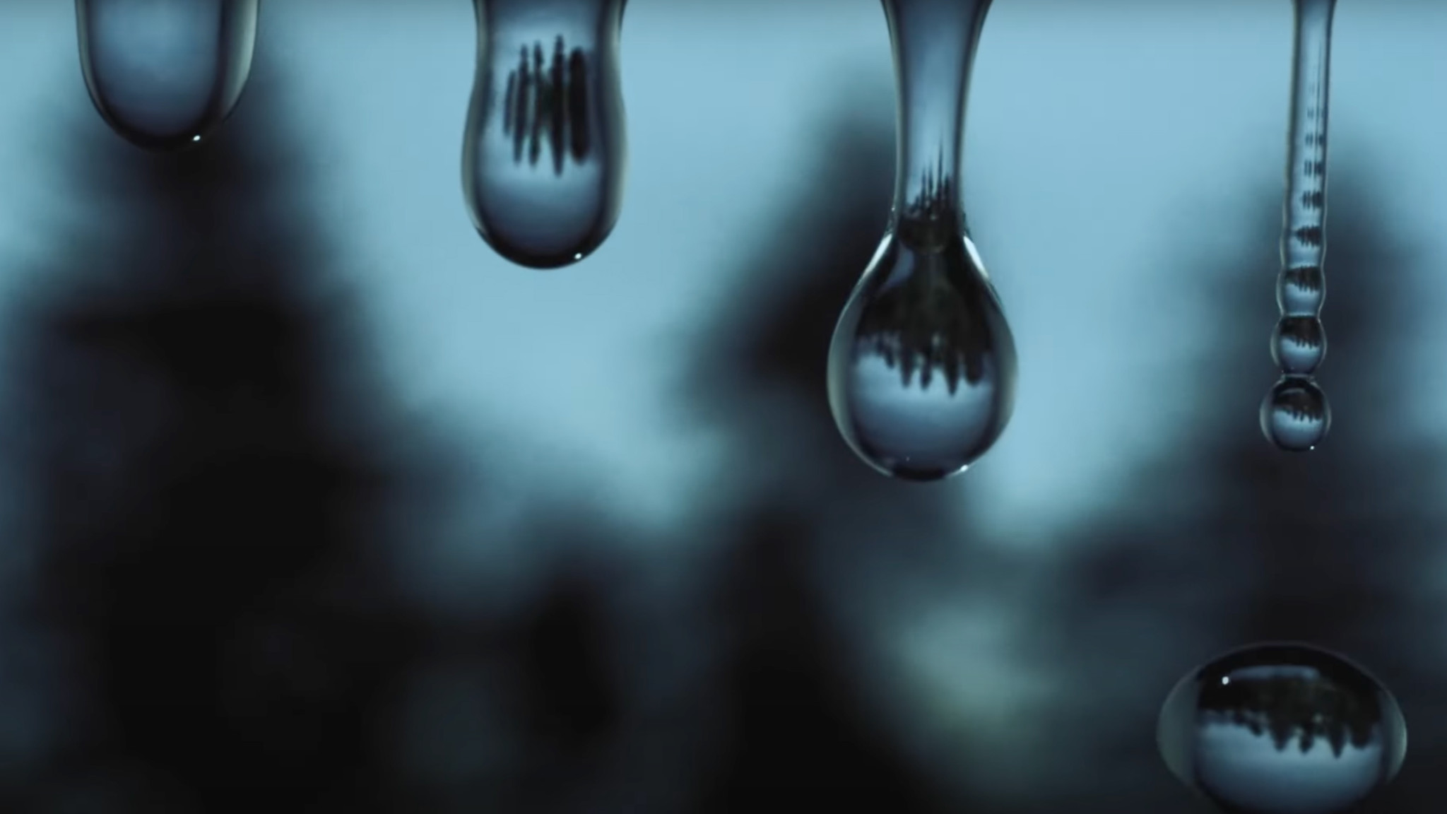Morning Drops - Jordi Forniés