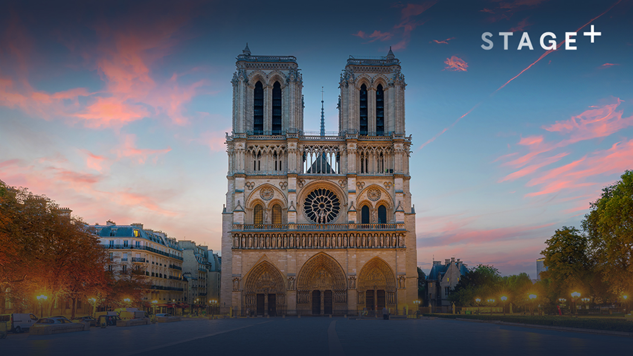 Stage+ Notre-Dame 