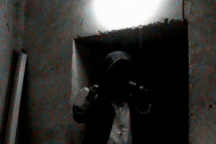 Lelosa 