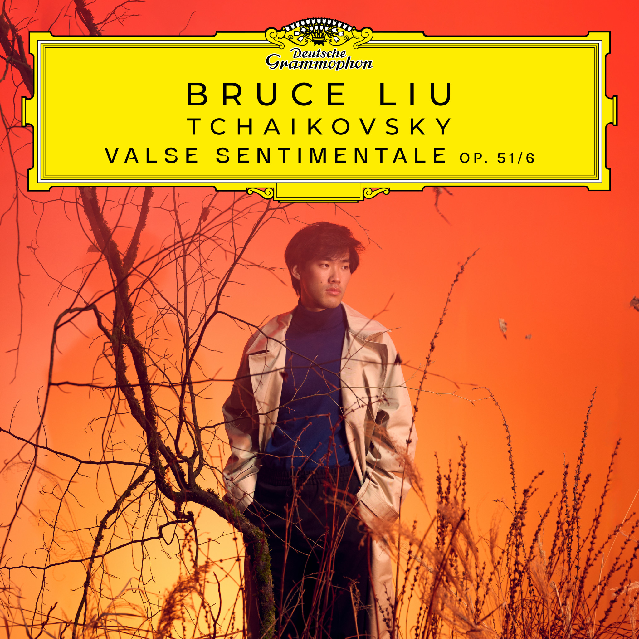 Bruce Liu - Tchaikovsky: Valse Sentimentale