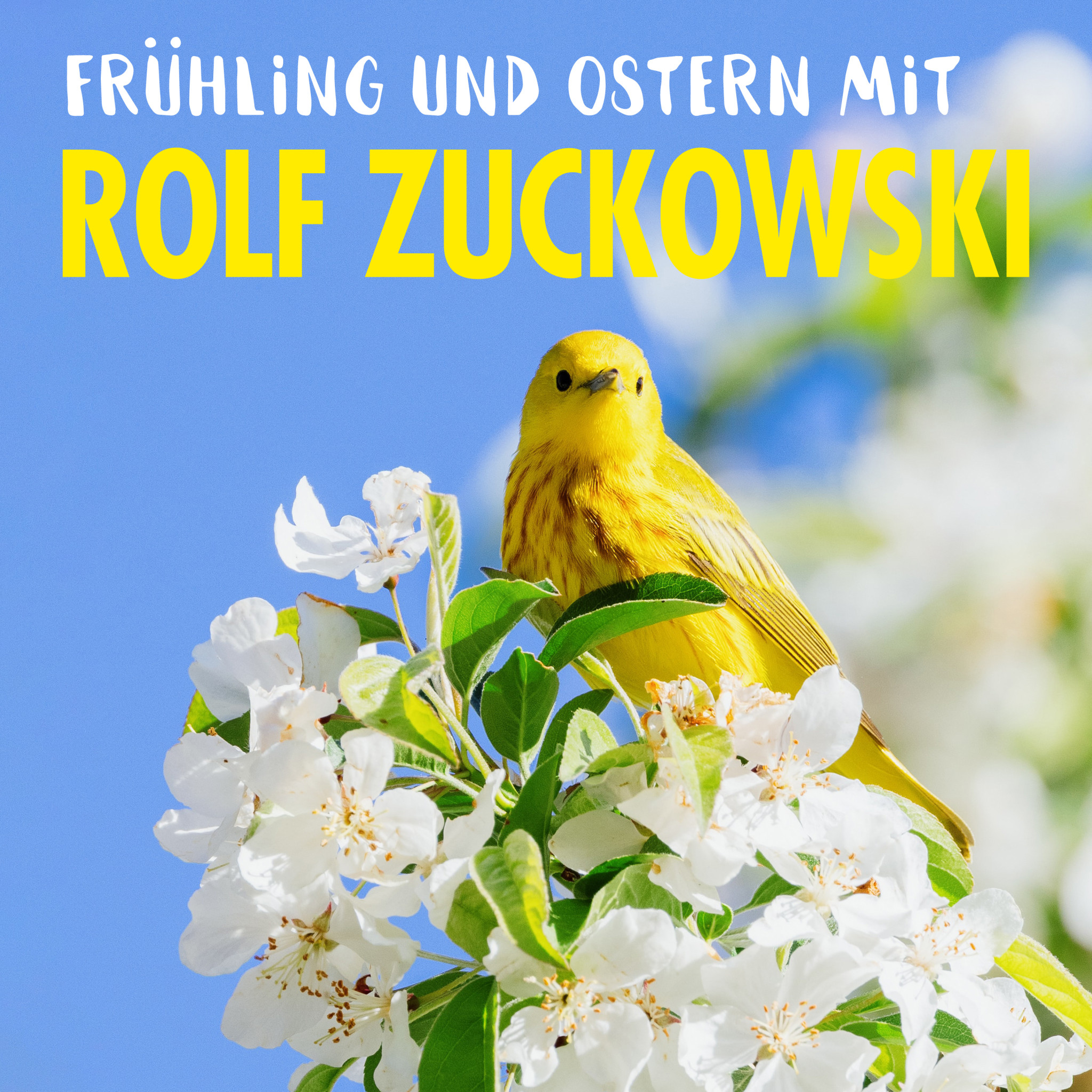 Playlist Cover Rolf Zuckowski TAC Frühling_Ostern 2023.jpg.jpeg