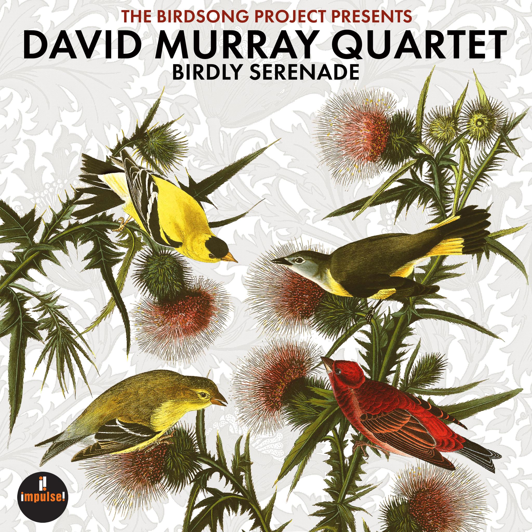 David Murray Quartet - Birdly Serenade