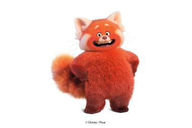 Rot