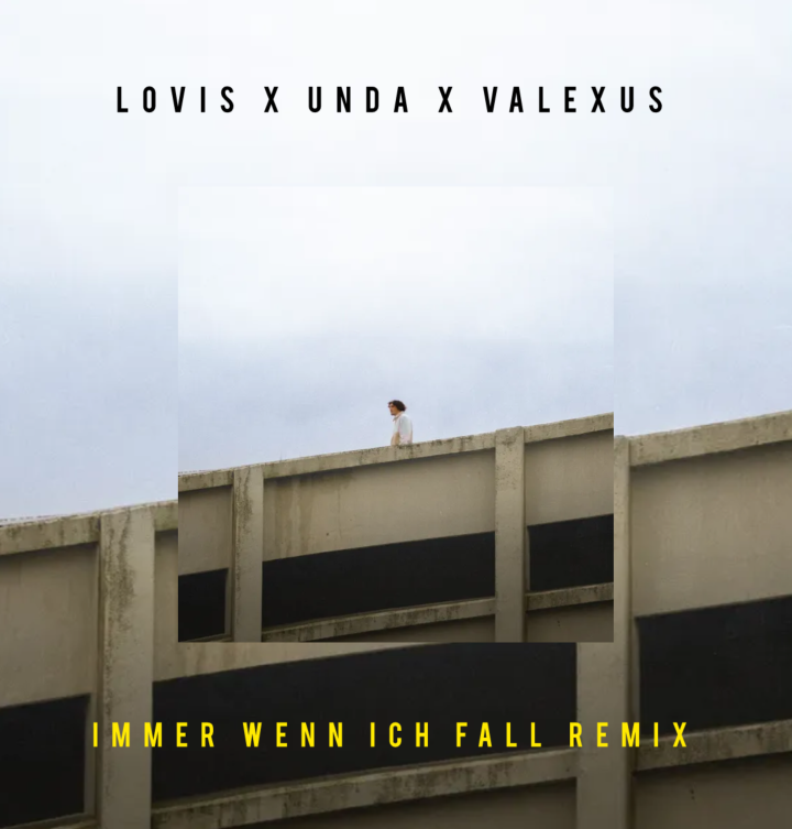 Immer wenn ich fall Remix Cover.png