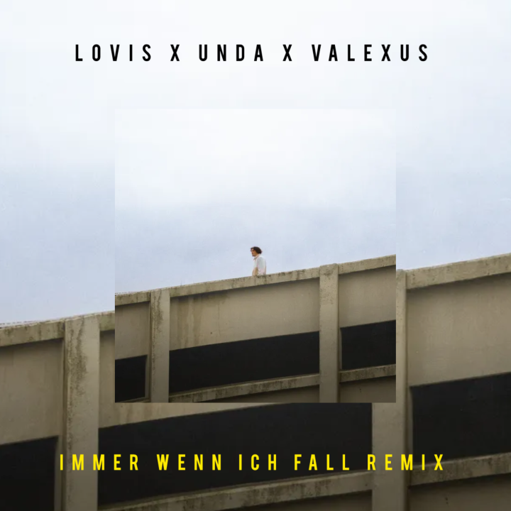Immer wenn ich fall Remix Cover.png