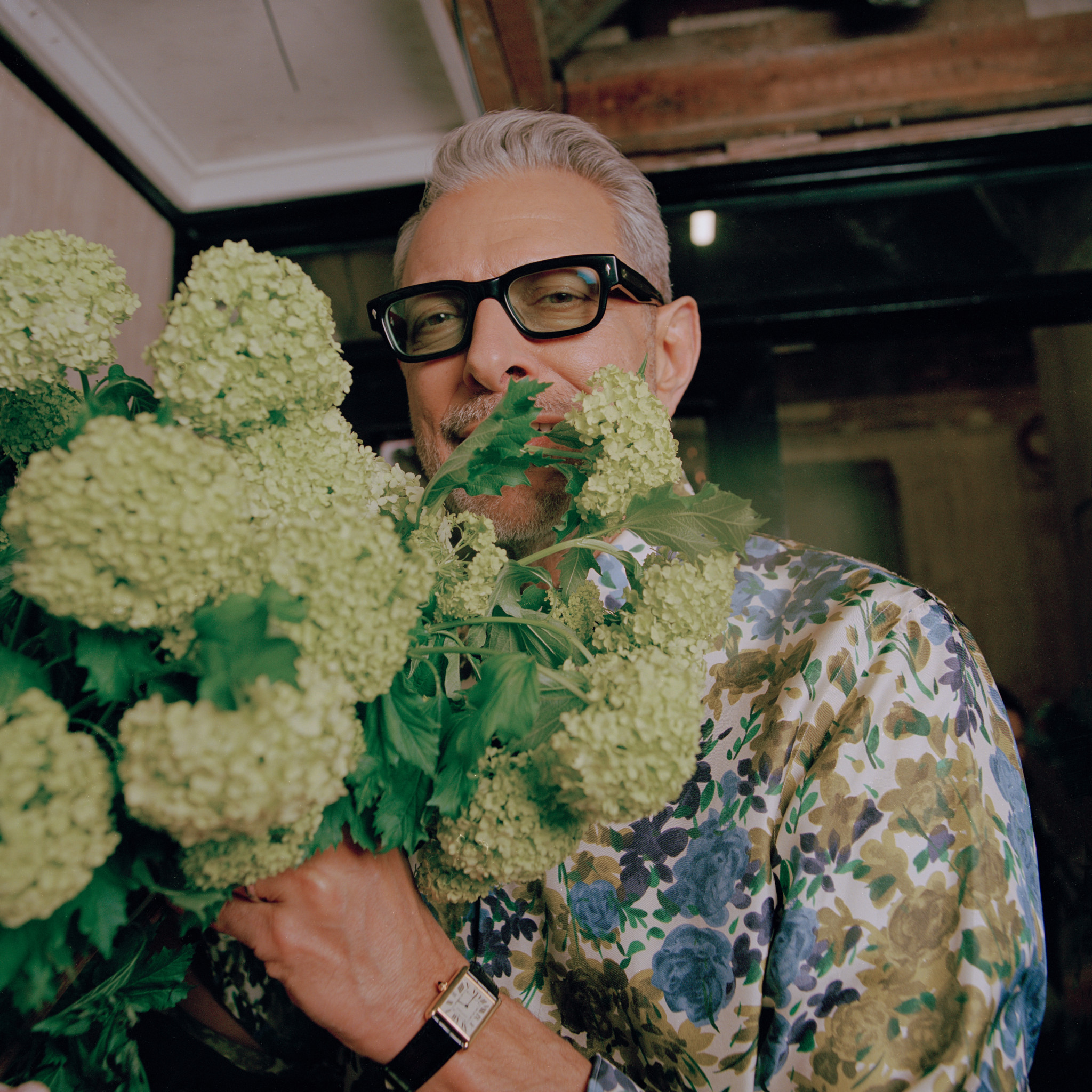 Jeff Goldblum "Still Blooming"