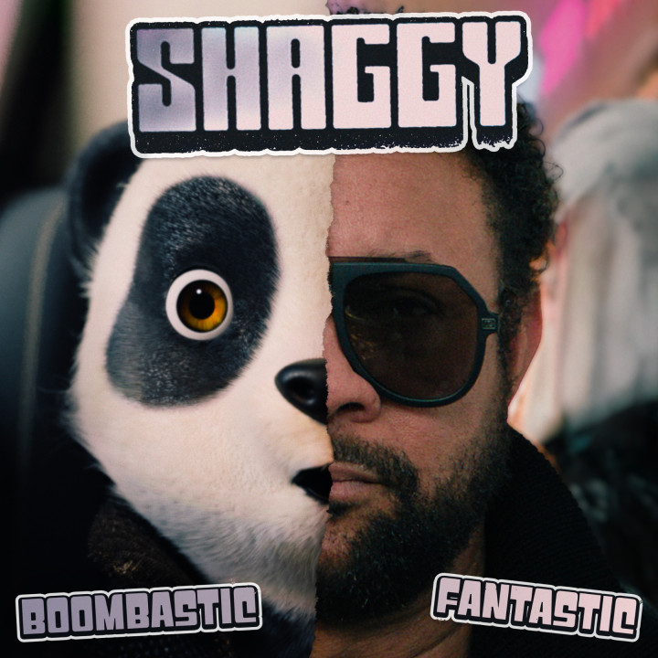 Shaggy