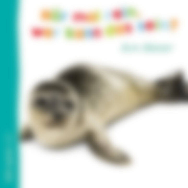 Meer3_thumb_800.jpg