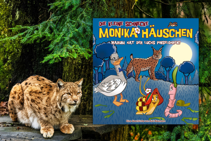 Erkunde mit Monika Häuschen und ihren Freunden unbekannte Tiere im Wald