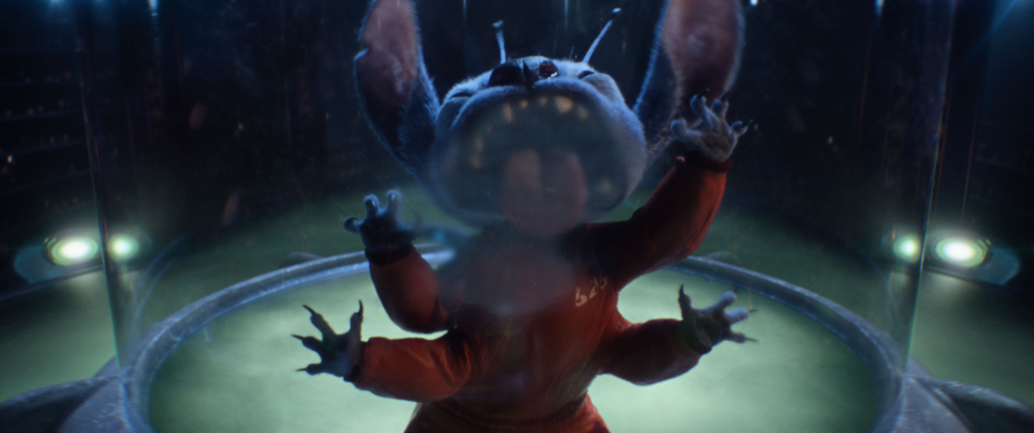 Stitch