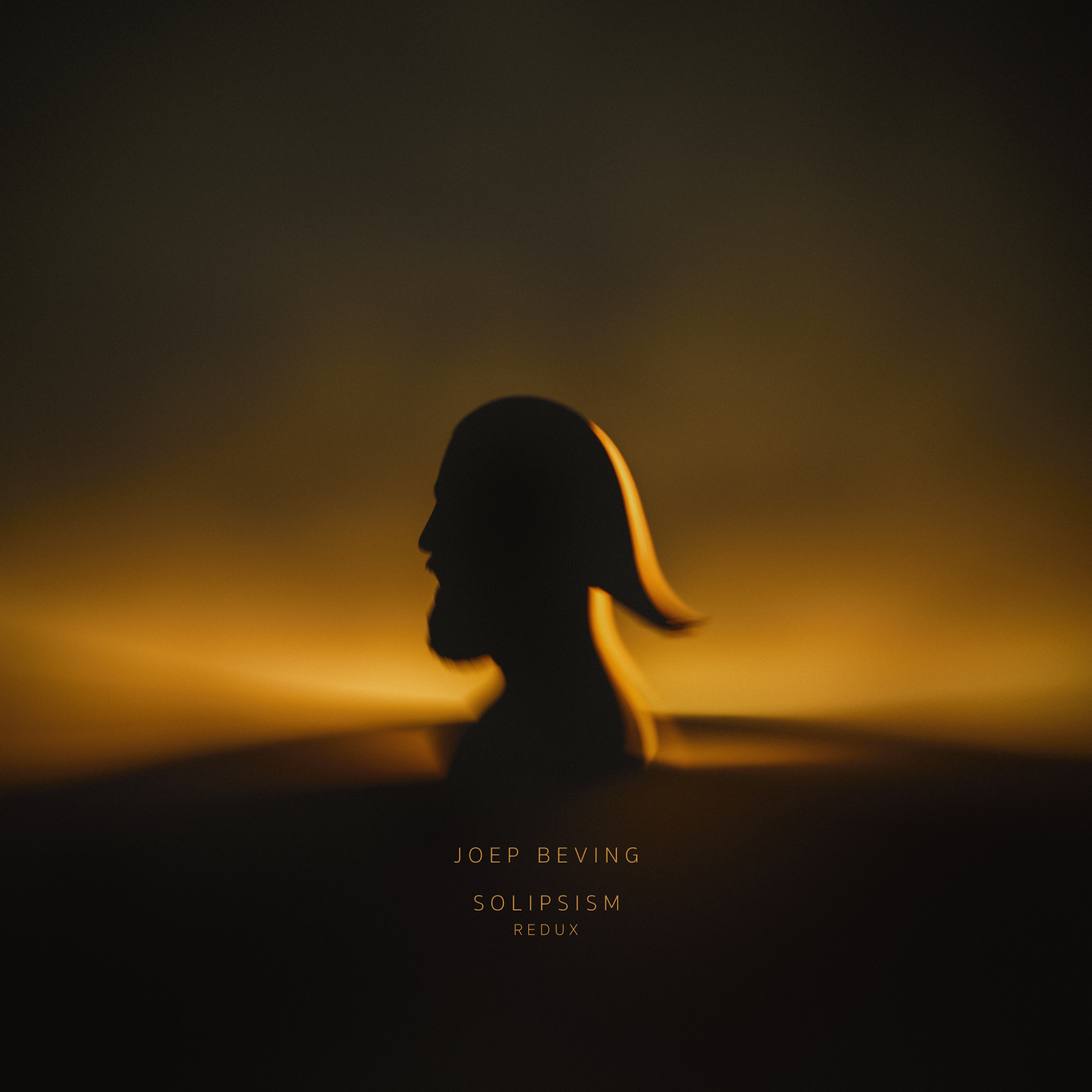 Joep Beving - Solipsism Redux Cover for Spotify and Media use ©Rahi Rezvani 2025.jpg