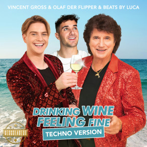 Vincent_Gross_Remix_Cover_RZ.jpg