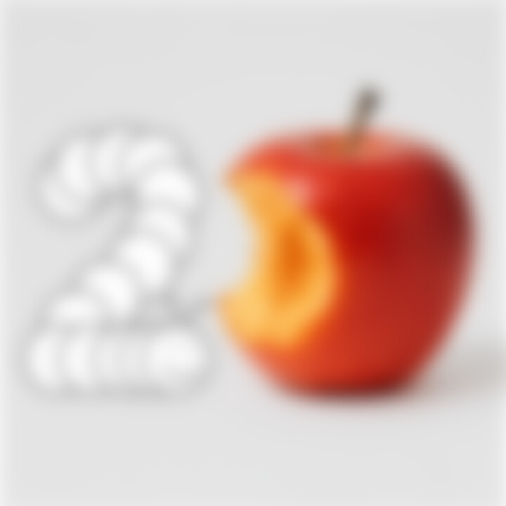 2D Salò EP cover grafik.jpg