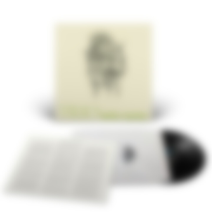 Mike Taylor Trio (LP)