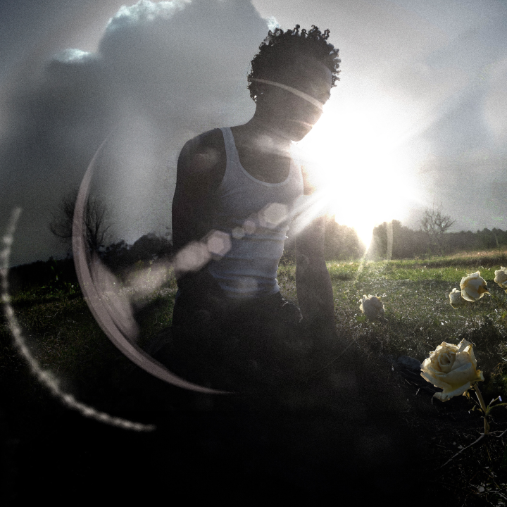 Artwork “WITHERED (Bonus Tracks)” (2025)