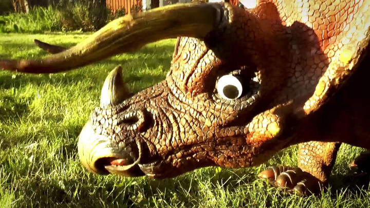 Trixie Triceratops – Papa Rex