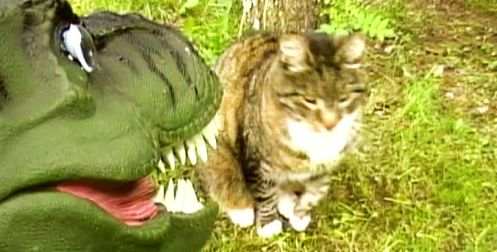 Tyrannosaurus Rex – Papa Rex