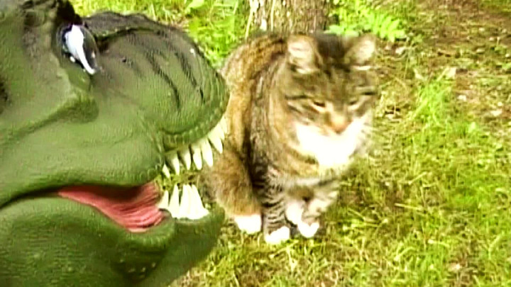 Tyrannosaurus Rex – Papa Rex