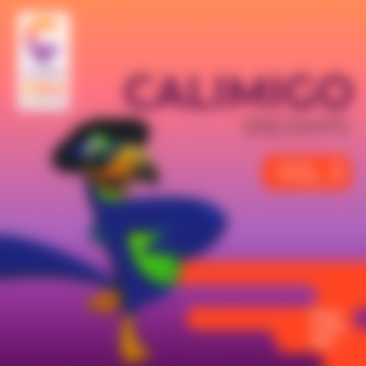 Calimigo Discohits Vol 3 Cover.jpg