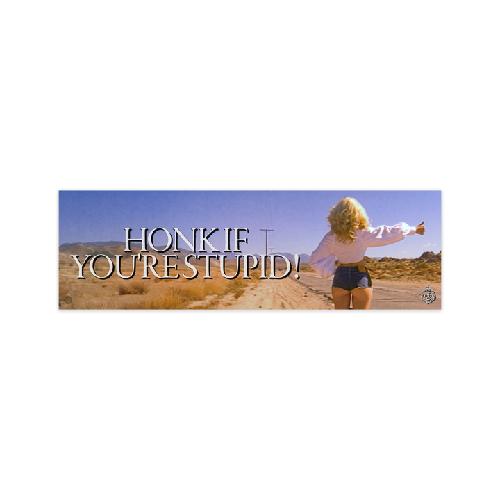 Honk If You’re Stupid! Bumper Sticker