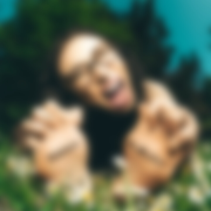 VICKY WANN ALBUM COVER.jpg