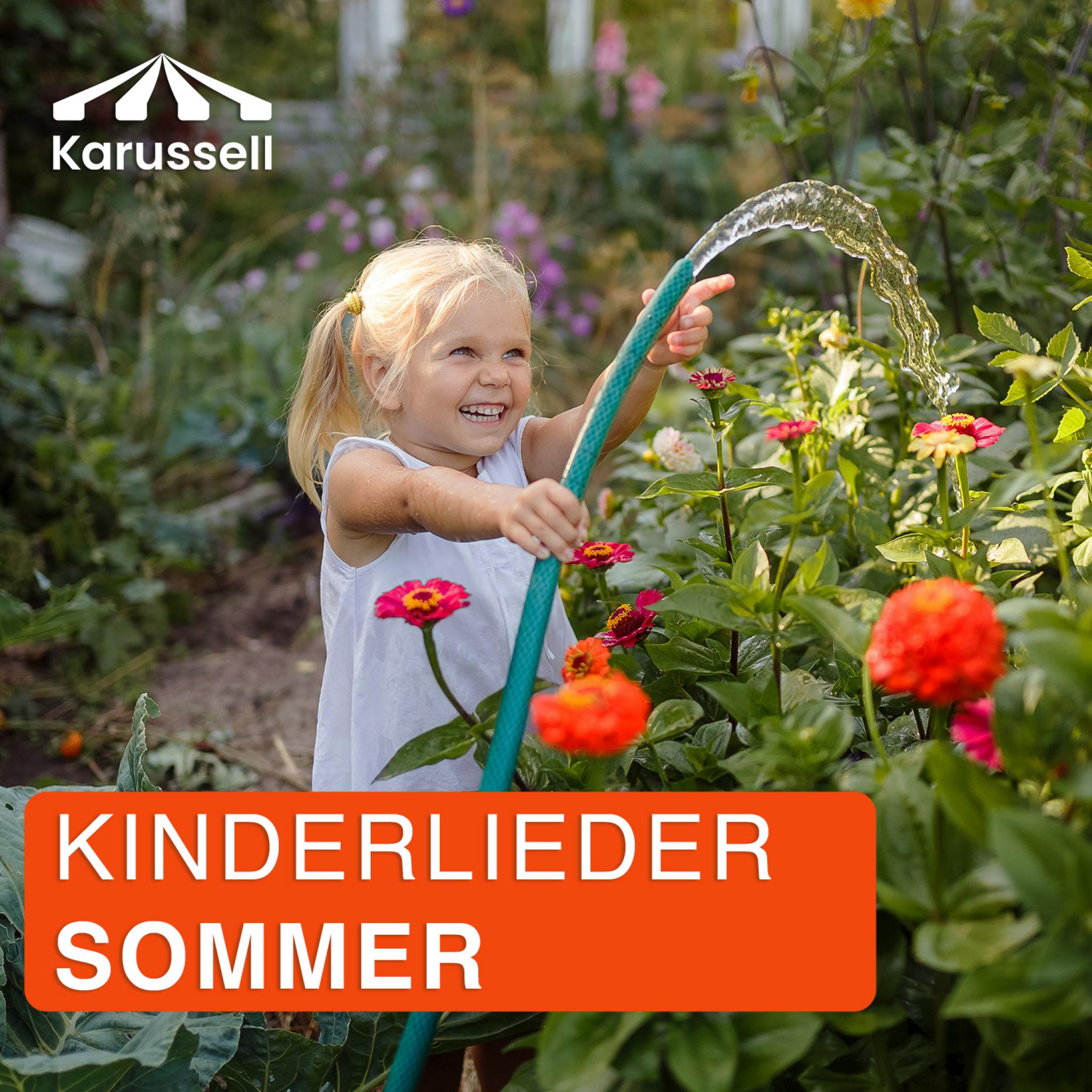 Vorlage_Cover_Sommer (1).jpg