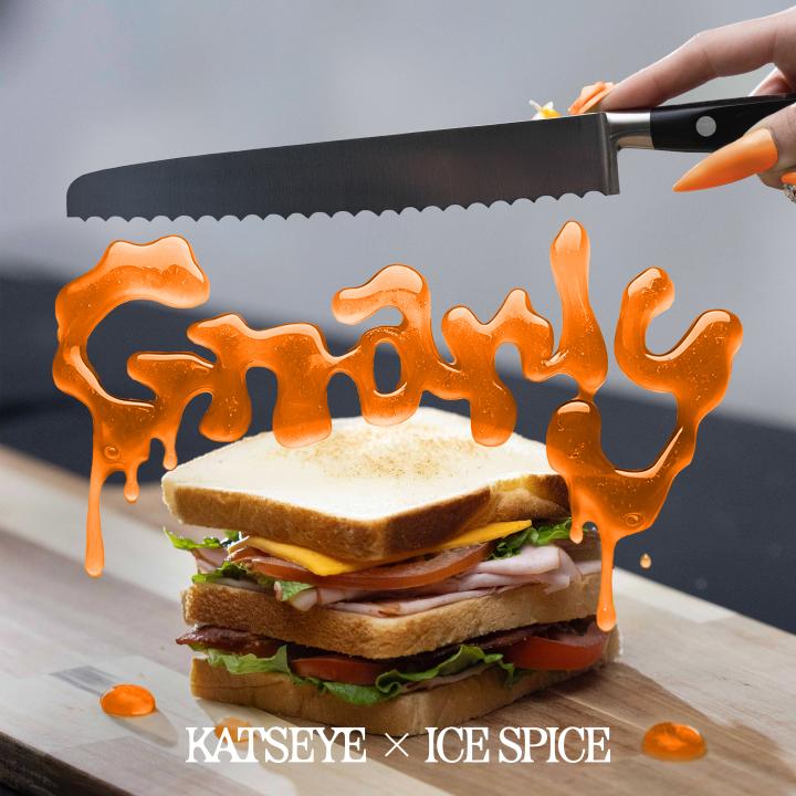 Artwork “Gnarly (Ice Spice Remix)” (2025)