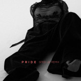 PRIDE Felix Jaehn Cover.jpg