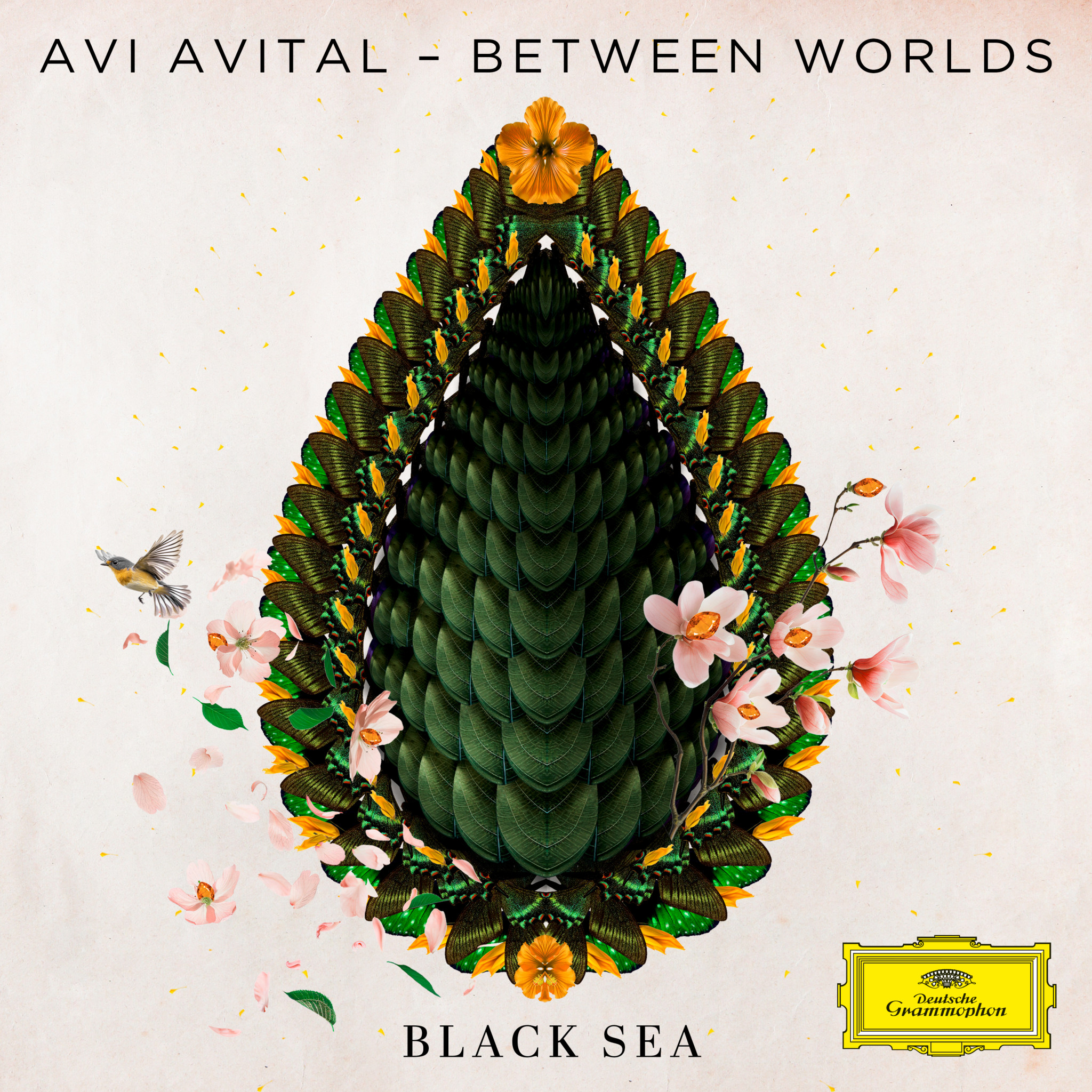 Avi Avital - Black Sea