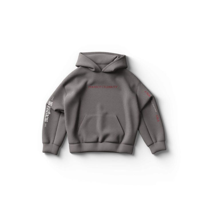 Perfect Celebrity Gray Hoodie