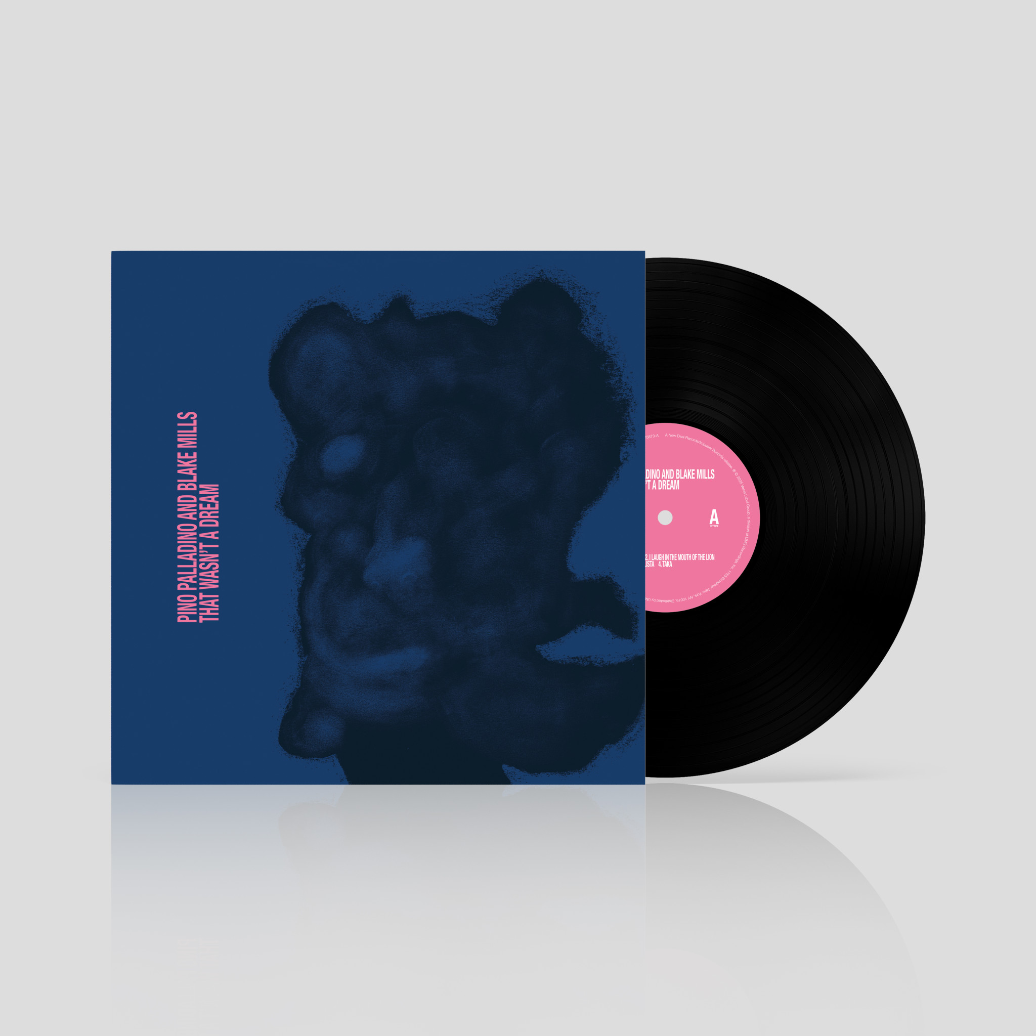 Pino Palladino & Blake Mills - That Wasn't A Dream (LP)