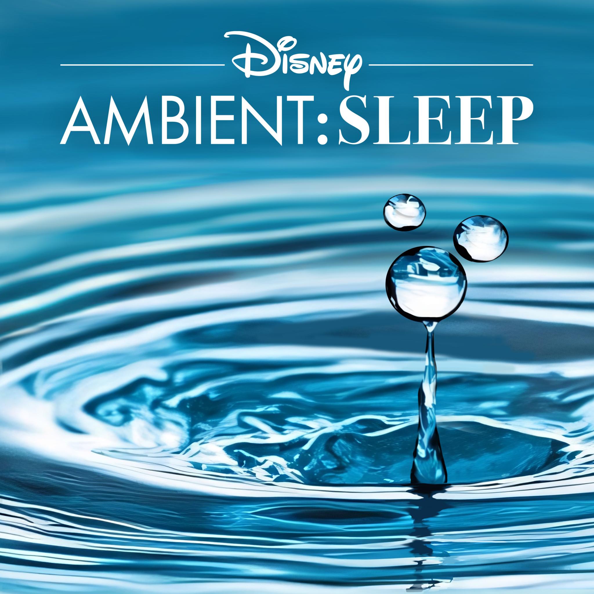 Disney Ambient Sleep_050087573416.jpg
