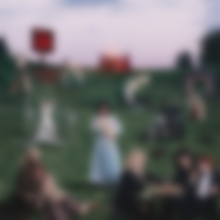 TLDP From The Pyre Cover.jpg