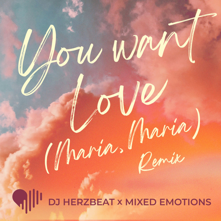 Cover_DJHerzbeat_Mixed Emotions_You Want Love.jpg