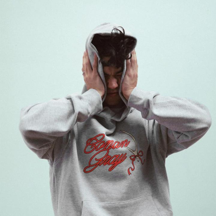 Conan Gray Red Ribbon Wishbone Hoodie