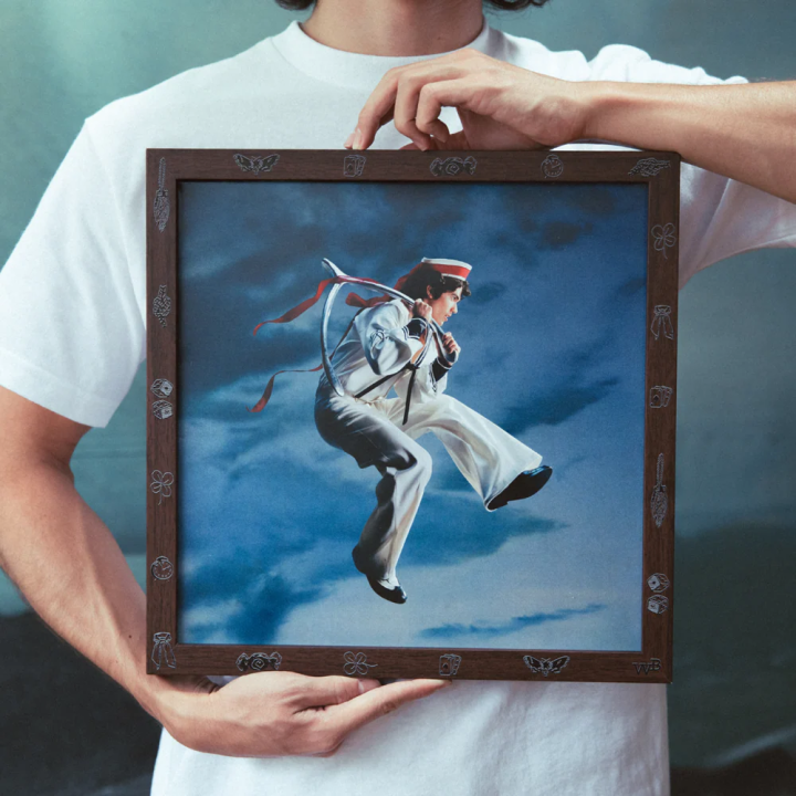 Wishbone Vinyl Frame