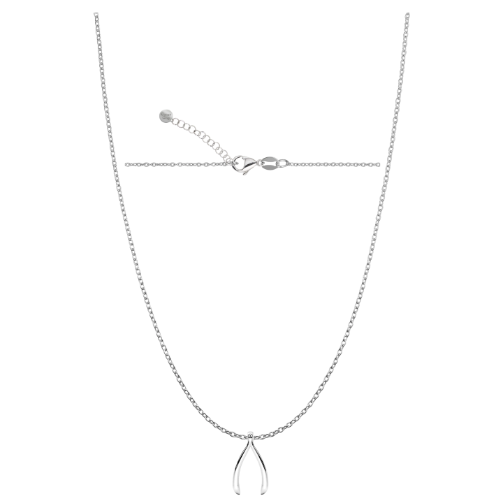 Conan Gray Wishbone Necklace