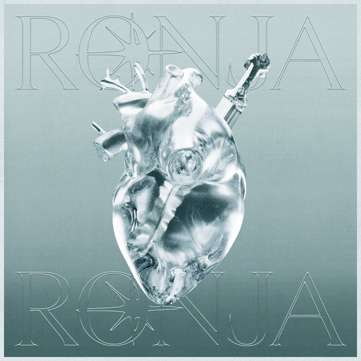 Geflicktes Herz Ronja Cover.jpg