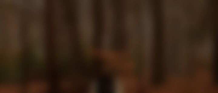 Joep Beving - On Solipsism redux: 10 years diary