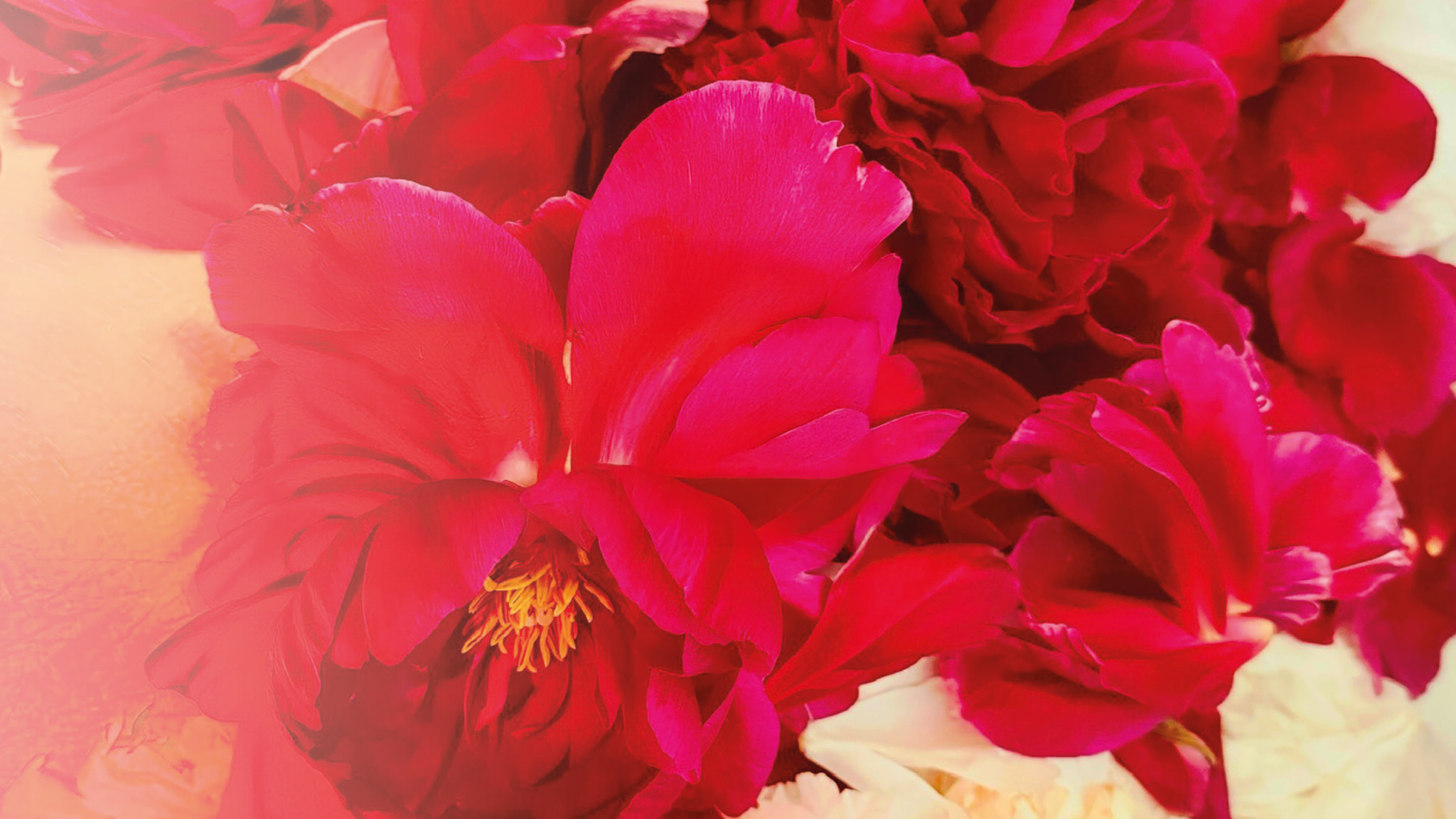 Recomposed