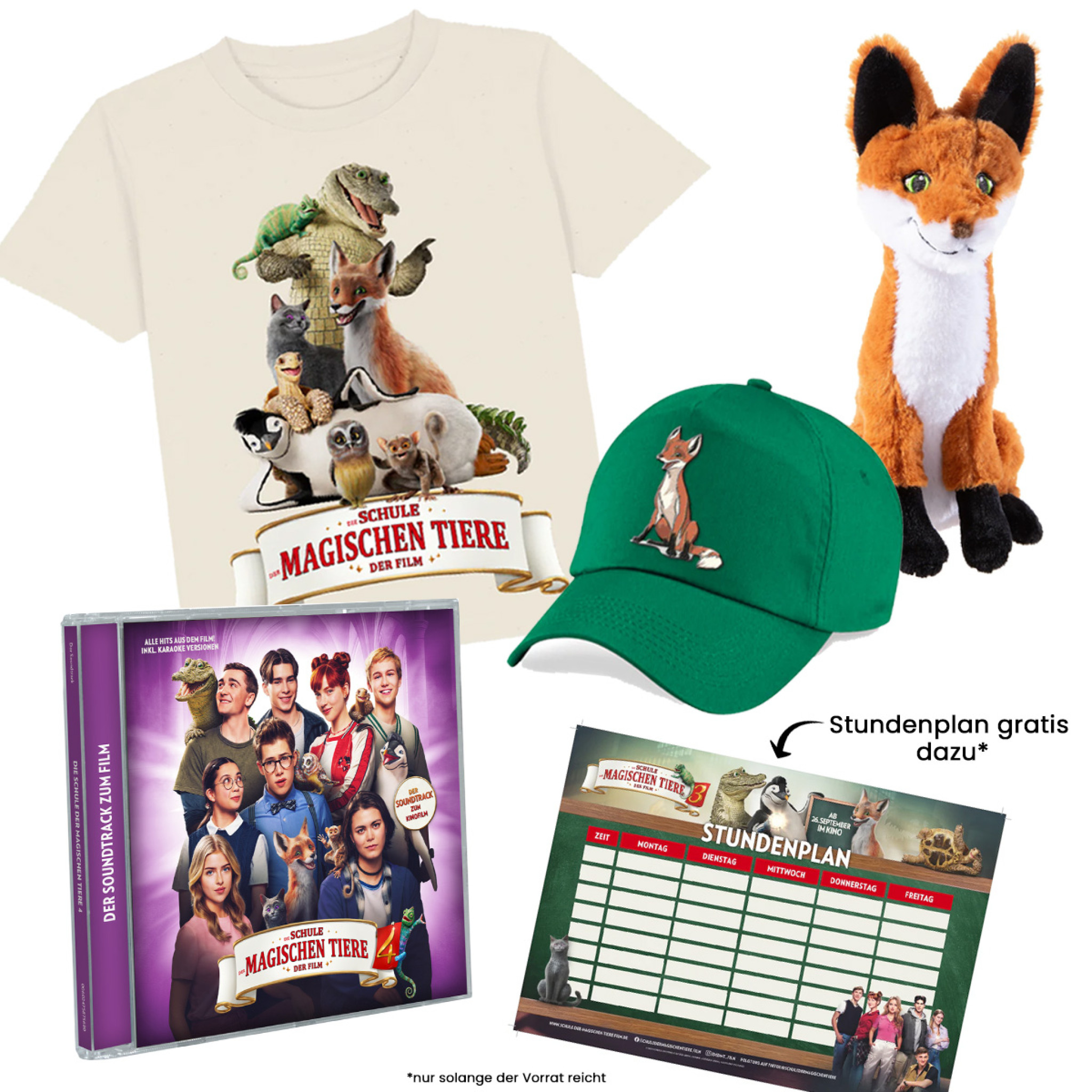 DSDMT4 Fan-Bundle