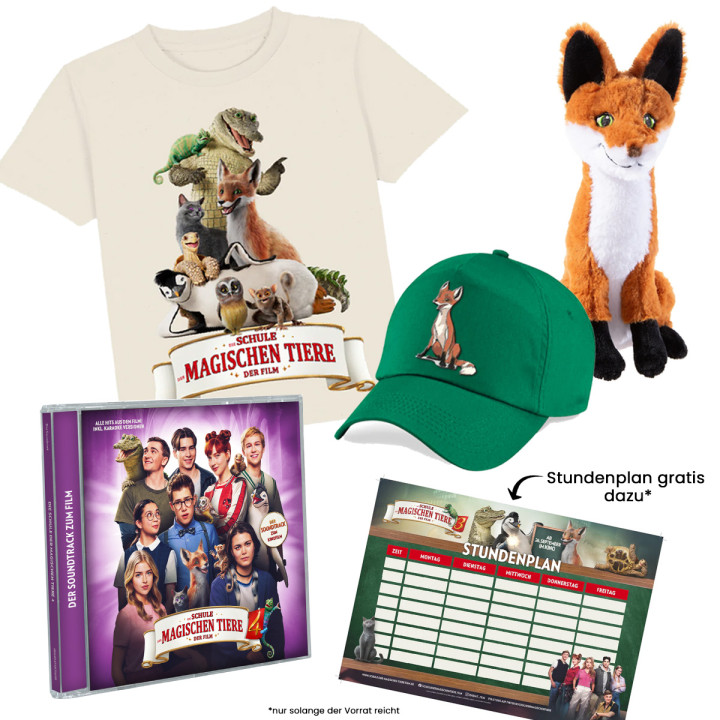 DSDMT4 Fan-Bundle