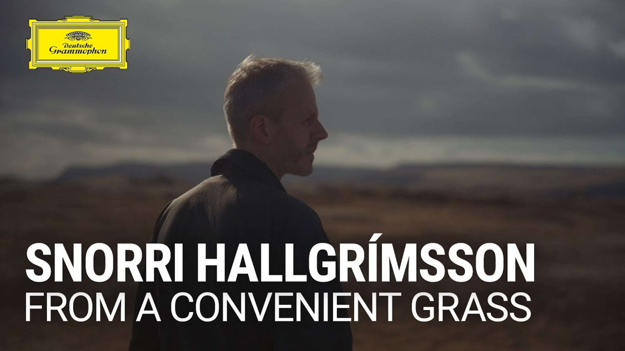 Snorri Hallgrímsson - From a Convenient Grass 