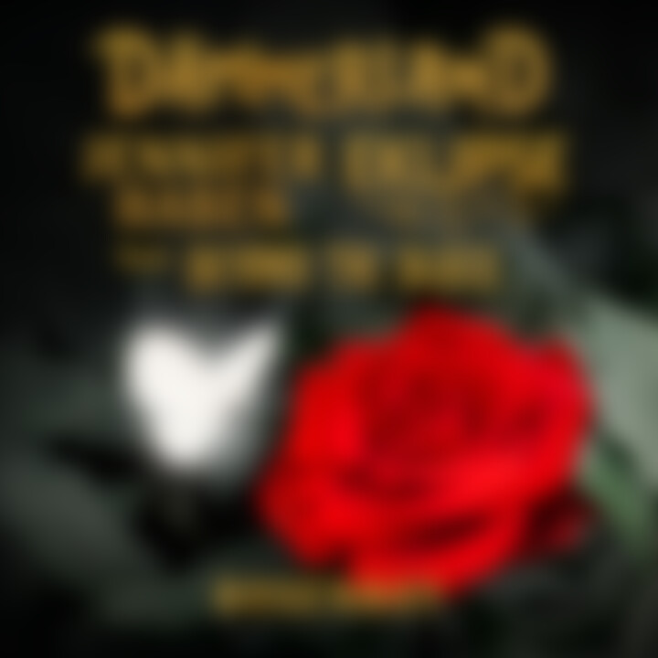 Singel-Cover-Dämmerland-rosenrot.jpg