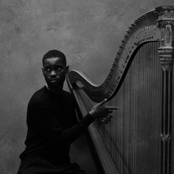 Pressbild “The Boy Who Played The Harp” (2025)