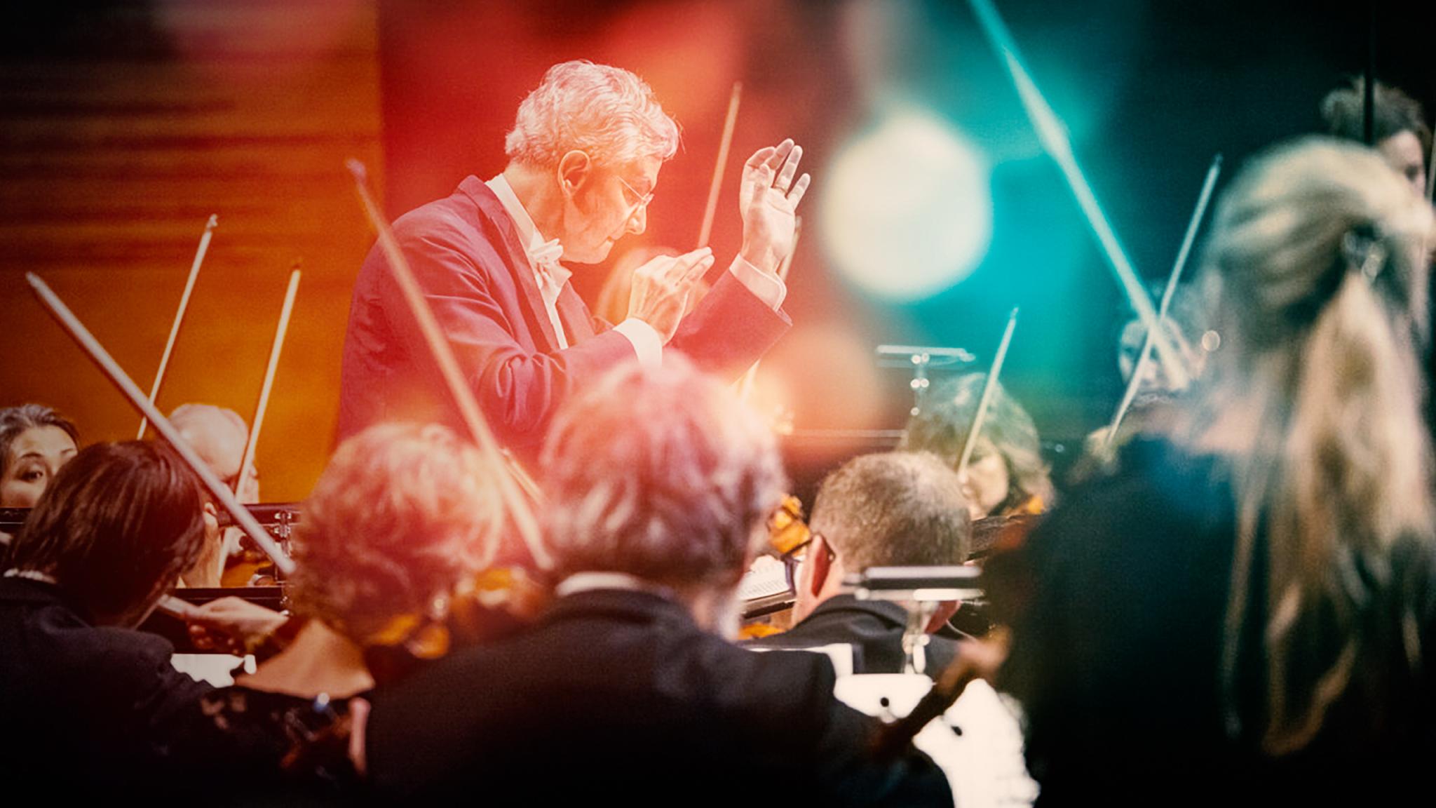 Fabio Luisi and the DNSO