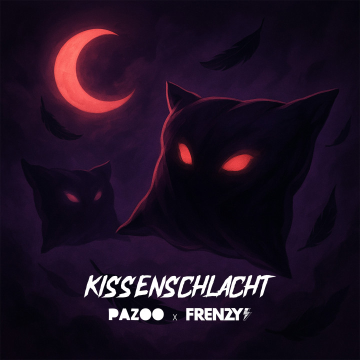 Pazoo_Frenzy_Kissenschlacht_Cover (1).jpg