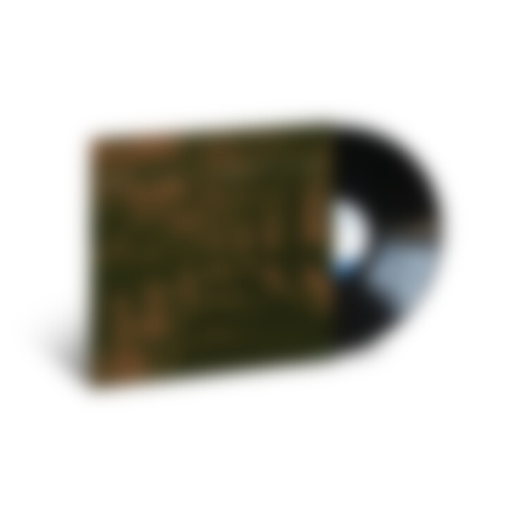 Julian Lage - Scenes From Above (LP)