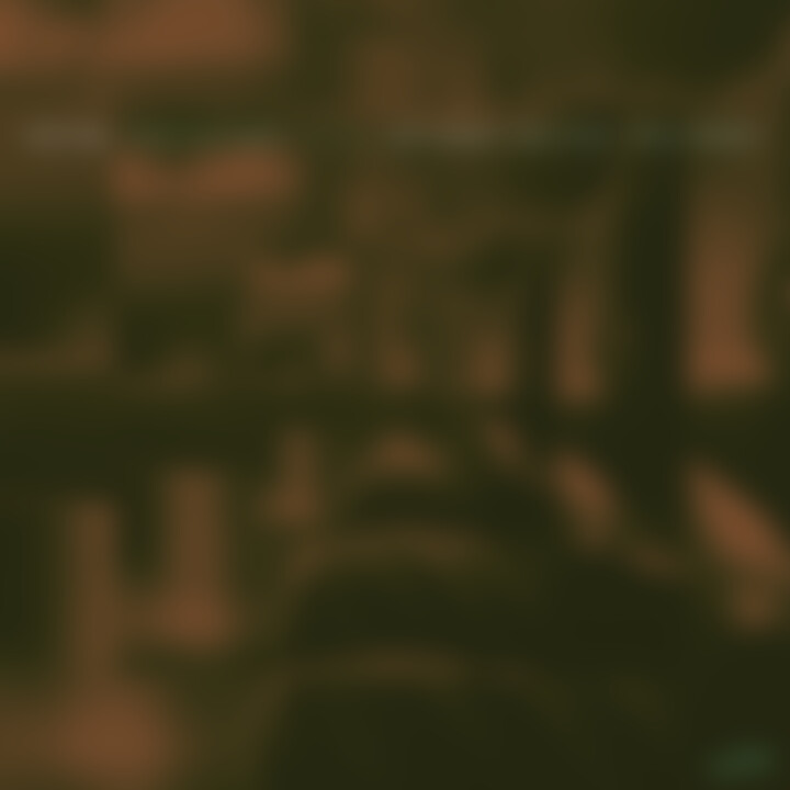 Julian Lage: Scenes From Above